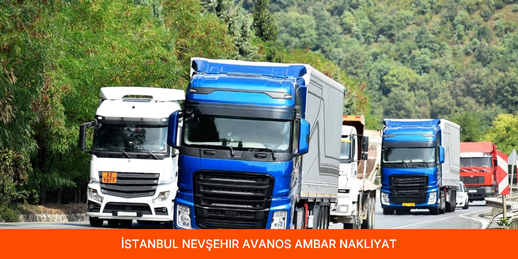 Avanos Ambar